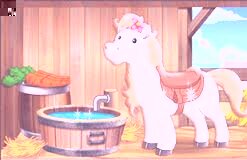 Dora's pony adventure