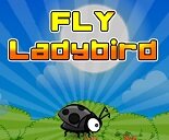 Fly Lady Bird