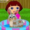 Dora rabbit care game
